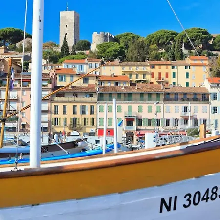 Thuya Cannes